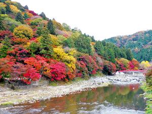 香嵐渓の紅葉