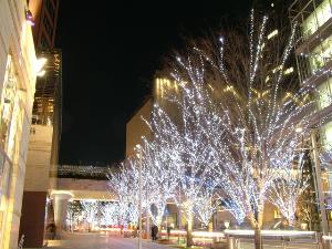 けやき坂<BR>