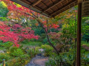 根津美術館 