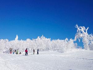 【カムイスキーリンクス】ゲレンデからの深川周辺の街並みや白く雪化粧をした山々