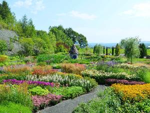 【上野ファーム】約2000坪のガーデンでは、900種類を越える四季折々の花をお楽しみいただけます。(4月～)