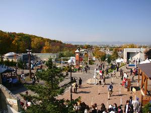 【旭山動物園】自然に近い環境作りで動物たちの活発な動きが見れる行動展示が魅力