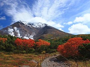9下旬頃から10月中旬頃まで、紅葉と雪景色のコントラストを楽しめます