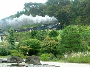 中庭とSL