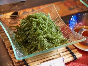 定番の海ぶどう