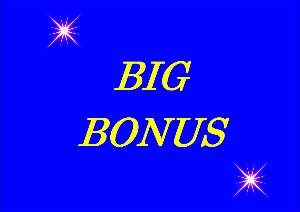 プラス５００マイルゲット！ＢＩＧ ＢＯＮＵＳプラン♪