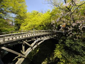 こおろぎ橋