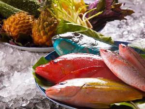 ＜和琉ダイニングあんのん＞鮮やかな色とは裏腹の淡白な味が魅力の、新鮮な魚介類