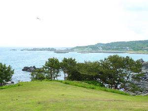 種差海岸