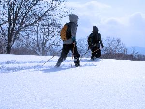 【スノーシュー】夏に入る事のできない森の中へGO！雪山をトレッキングできる魅惑の冬アクティビティ♪