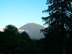 【周辺風景】 木々の合間から顔を見せる羊蹄山。美しい姿に思わずパシャリ☆