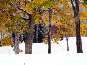 【周辺風景】 紅葉と雪、ふたつの季節の奇跡のコラボに出逢えることも・・・！