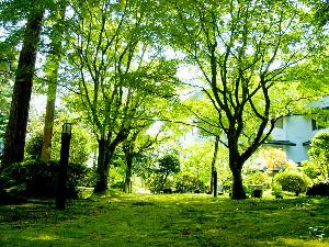 4,000坪の大庭園