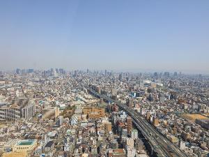客室からの眺望例