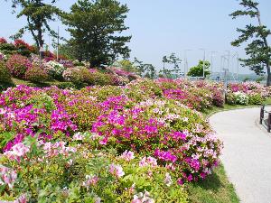 【ときわ公園】