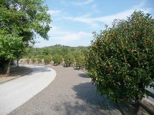 【ときわ公園】