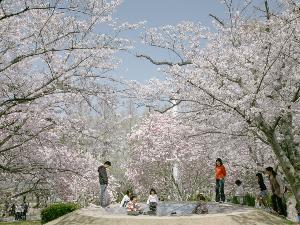 【ときわ公園】