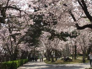 【ときわ公園】
