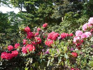 【ときわ公園】