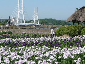 【ときわ公園】
