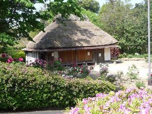 【ときわ公園】