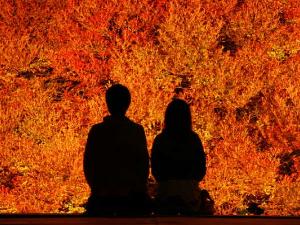 紅葉とカップル