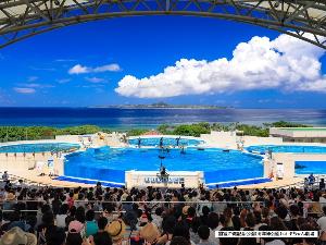 【国営沖縄記念公園(海洋博公園)：オキちゃん劇場】青い海をバックに、楽しいショーをお楽しみください。