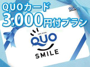 Q3000