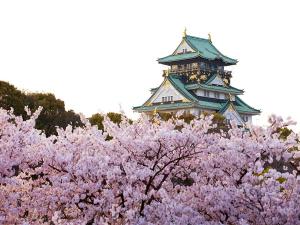 大阪城（桜）