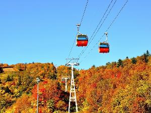 秋の紅葉ゴンドラ。今時期しか見れない絶景をご覧ください♪