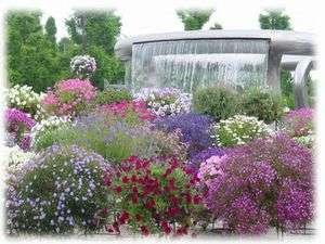 水生植物公園みずの森　ホテルより車で15分