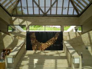 MIHO MUSEUM(1)(ホテルよりお車で約35分）美術館と自然が見事に融合したオススメスポットです★