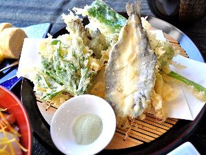【夕食一例／おもてなしプラン】地元の山菜とやまめを使った天ぷら。