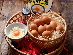 【朝食】糸島産ブランド卵