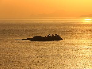 ホテル近くで見られる朝景