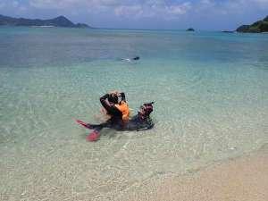 目の前の海は浅く湾になっているのでお子様の海水浴に最適です。