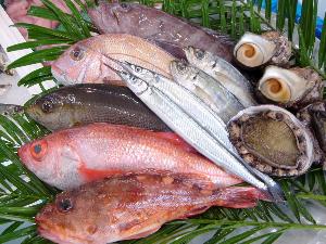 山陰の鮮魚(イメージ)