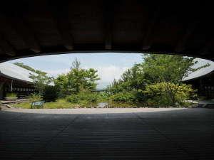 【牧野植物園】四季折々の草花をお楽しみください。