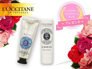 女子にうれしいロクシタン付き★