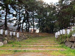 曲里の並木道◆ホテル目の前に続く並木道。江戸時代に徳川幕府が全国の街道に松や杉を植樹させた名残で、歴史を感じることができる空間です