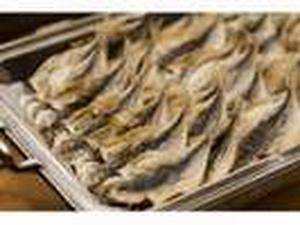 朝食バイキング　ご当地名産　鯵の干物