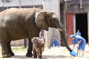 動物園1