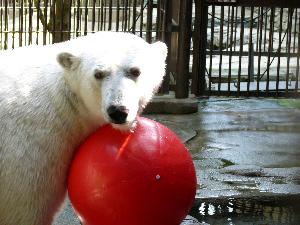 動物園2