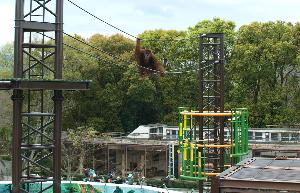 動物園3