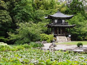 勧修寺_夏の観音堂と氷室池