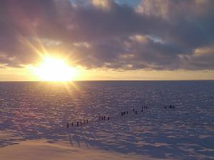 【風景】夕暮れ時の流氷ウォークは幻想的です。