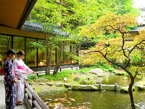 たちばなや日本庭園