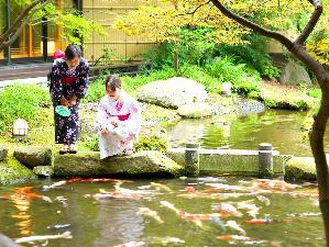 たちばなや日本庭園