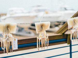 鼠ヶ関 イカの一夜干し作り体験
