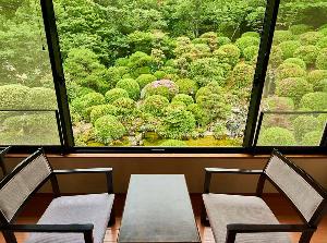 二階客室より庭園を望む